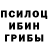 Галлюциногенные грибы Cubensis Zimon